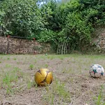 Flateli Anglés
